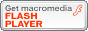 Macromedia Flash Player �����������