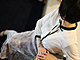 뱩4